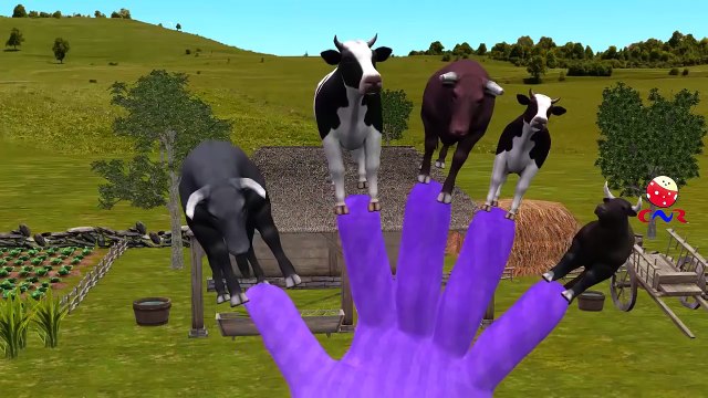 Finger Family Nursery Rhymes for Children Cow Cartoons Finger Family Children Nursery Rhymes