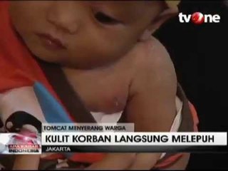 Download Video: Rusun Daan Mogot Diserang Tomcat