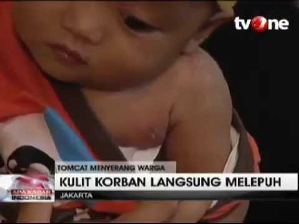 Rusun Daan Mogot Diserang Tomcat