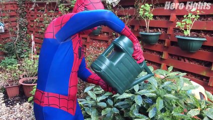 Spiderman & Frozen Olaf Vs Joker! Magic Pregnant Potion Fun Superhero Movie In Real Life