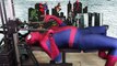 Spiderman In Real Life Superhero Movie Superhero Battle Parody Fight Batman vs joker Hulk fun movie