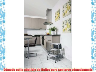 Hailo Klettermax - Taburete de acero con peldaños de aluminio escamoteable para un doble uso