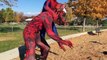 Spiderman vs Carnage vs Venom - Bane vs Spiderman - SuperHero Fights Movie In Real Life HD