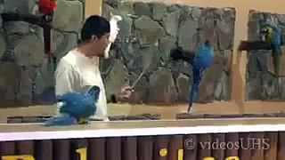 Hahah Really So Amazing Parrot Talent SUBHAN ALLAH Video Yar Must Watch
