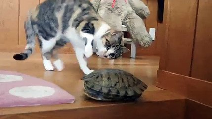 Вот говорят: "Меньше знаешь-крепче спишь!!!!!!!!!!!".... А фиг.. там!!!!!...Пока не узнаешь-фиг заснешь!!!...