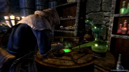 Skyrim Guard Calls Taverns - Skyrim Prank Call