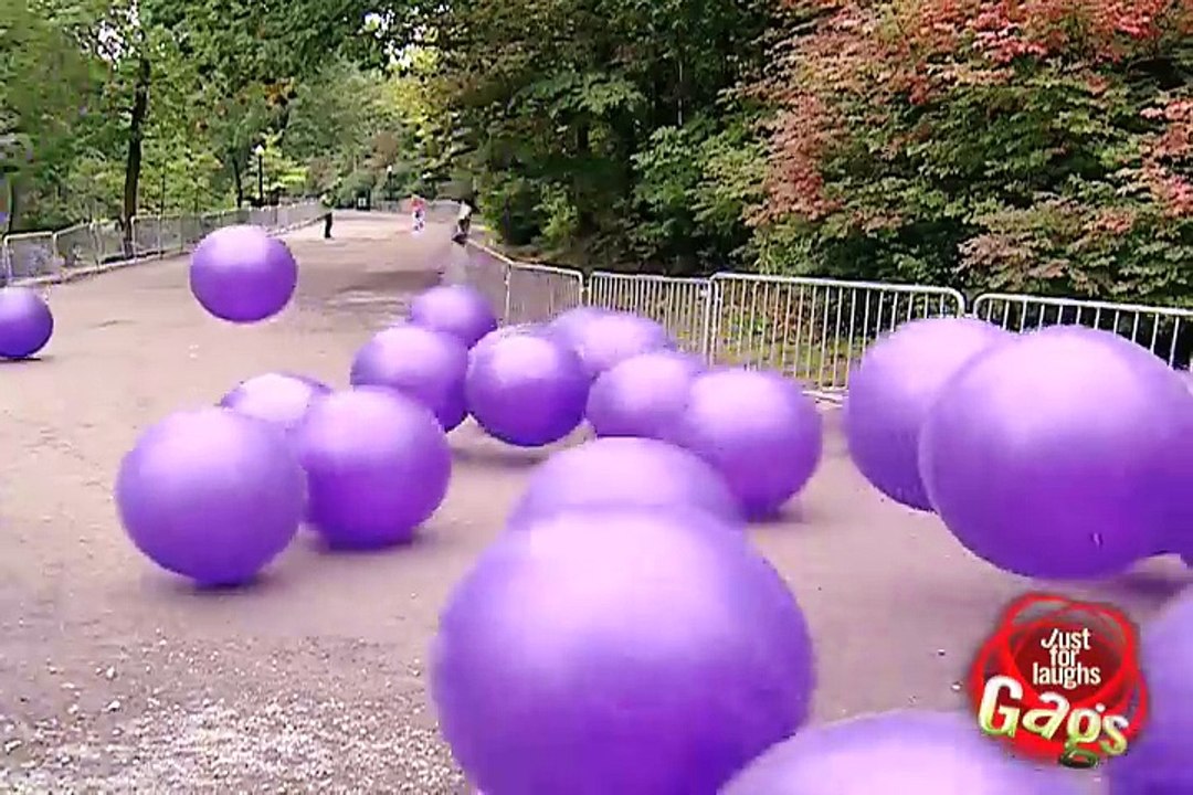 Daily Laughs_Purple Balls Pranks