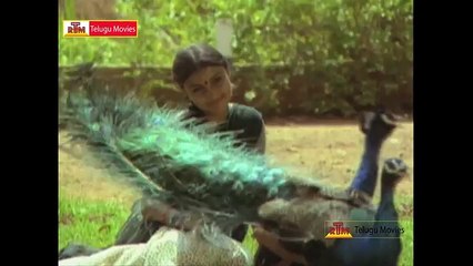 Mudda Mandaram Telugu Superhit Video Songs Back 2 Back - Pradeep,Poornima (FULL HD)