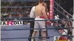 Mike Tyson vs Andrew Golota FULL FIGHT  Biggest Boxers