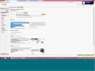 Enforce your brand Embedding your content directly into your website_clip5