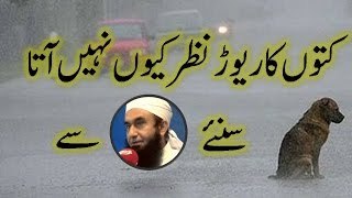 Why do we not see too many dogs together - Maulana Tariq Jameel.s comments Molana Tariq Jameel Best Byan,Best Byan