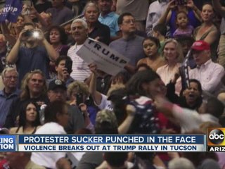 Man assaulted at Tucson Donald Trump rally