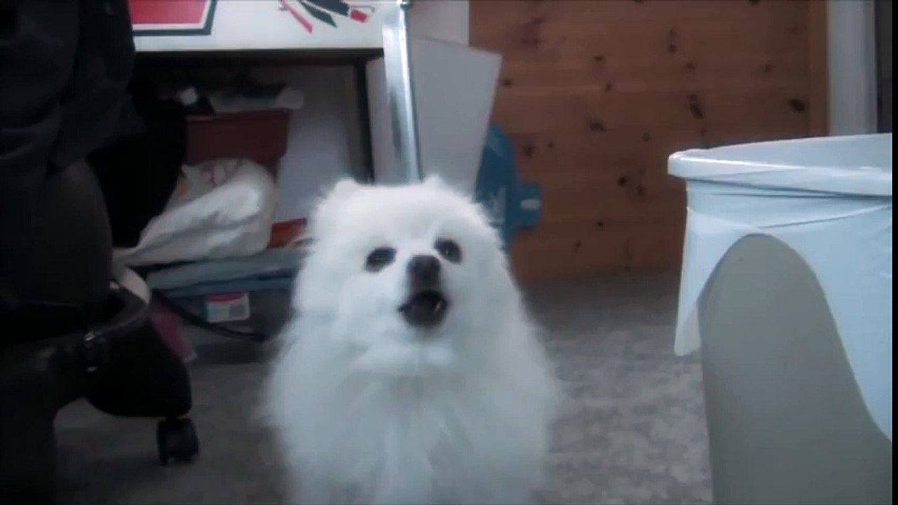 Robodog