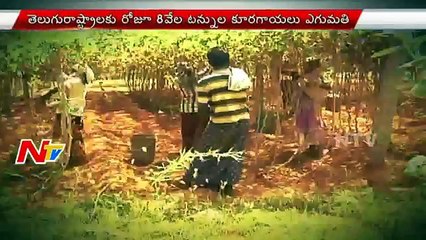 Successful Large Scale Vegetable Cultivation by Young Farmers in Nalgonda | NTV (FULL HD)