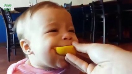 Babies Eating Lemons for the First Time Compilation