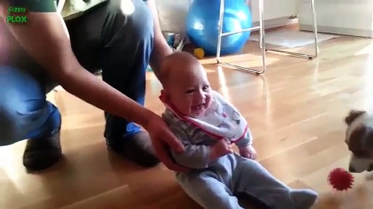 Babies Laughing Hysterically at Dogs Compilation
