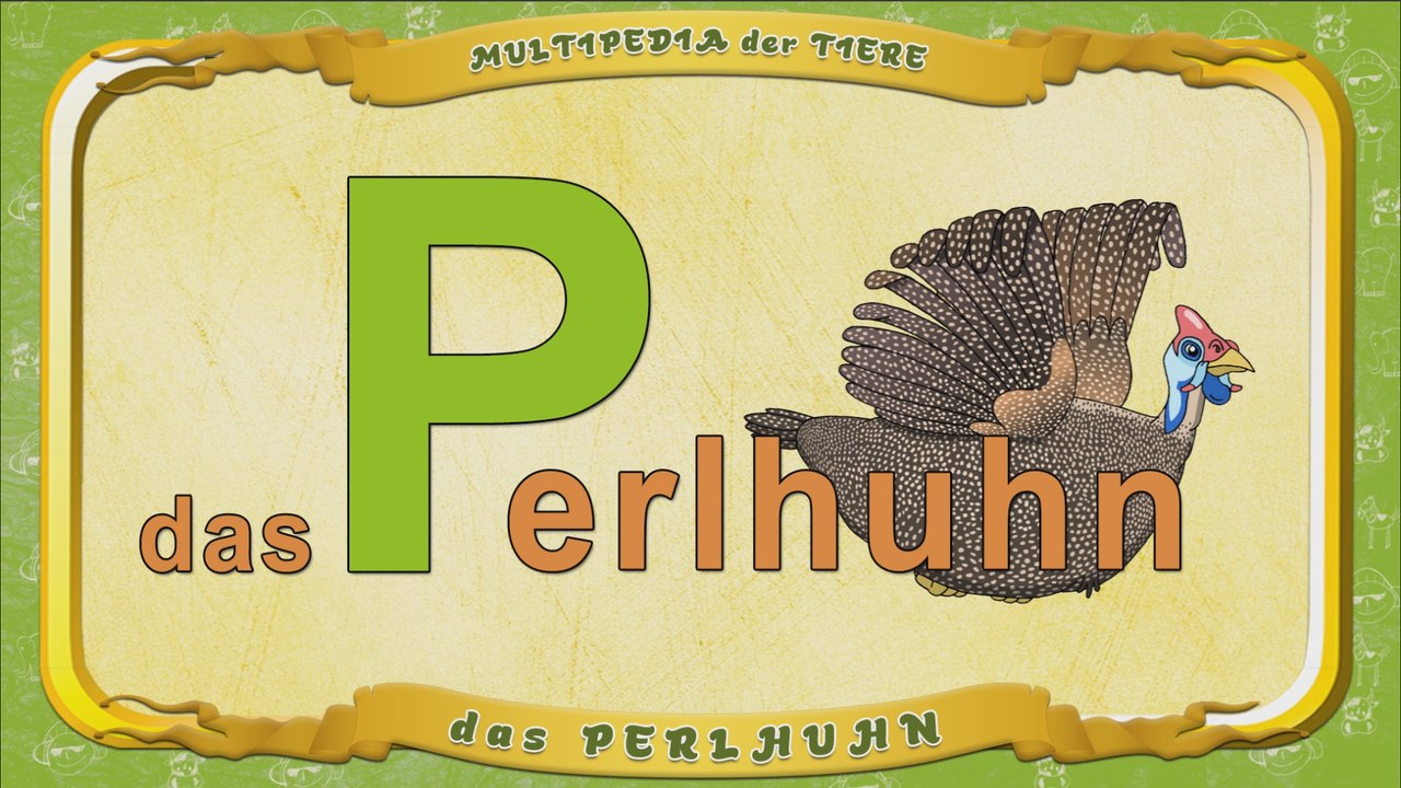 Multipedia der Tiere. Buchstabe P - das Perlhuhn