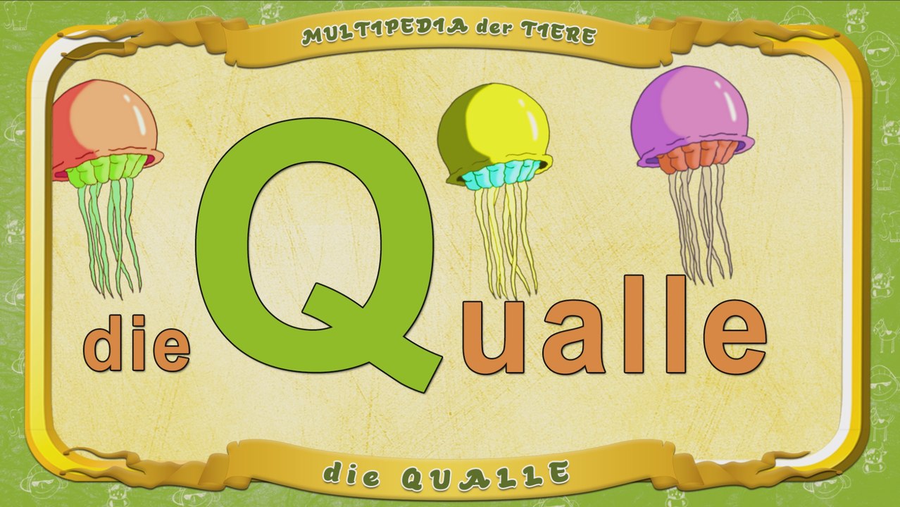 Multipedia der Tiere. Buchstabe Q - die Qualle