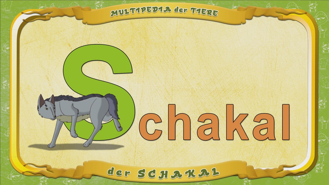 Multipedia der Tiere. Buchstabe S - der Schakal