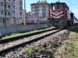 Ayağı kesik kedi olayını emniyet çözdü