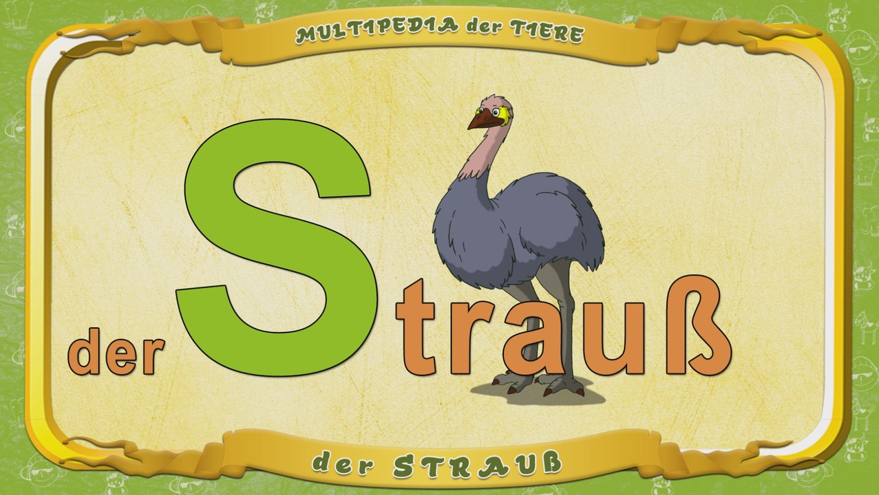 Multipedia der Tiere. Buchstabe S - der Strauß