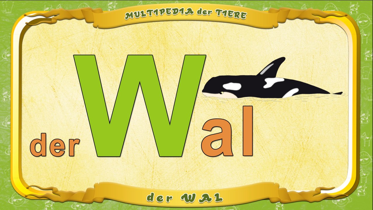 Multipedia der Tiere. Buchstabe W - der Wal
