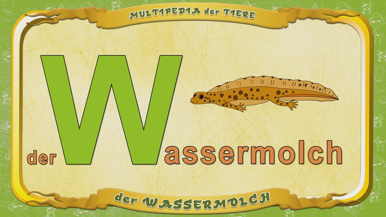 Multipedia der Tiere. Buchstabe W - der Wassermolch