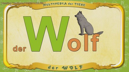Lerne den Buchstaben W und den Wolf 🐺 – Tieralphabet für Kinder