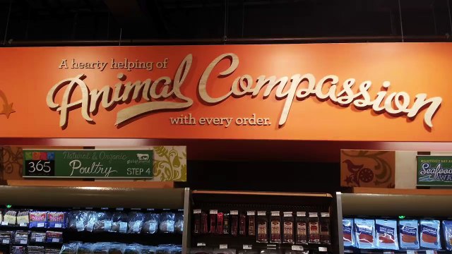 DxE confronts Whole Foods CEO John Mackey at Stanford and asks Why did Mei deserve to die?