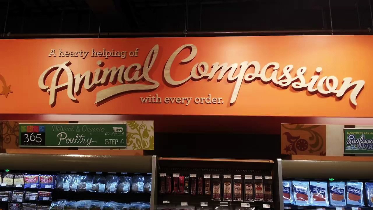 DxE confronts Whole Foods CEO John Mackey at Stanford and asks "Why did Mei deserve to die?"