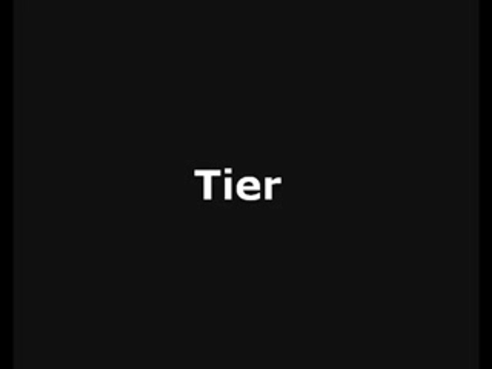 Tier