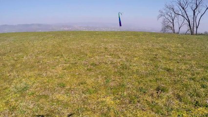 Drone : Le 1er cachalot filmé par l'équipe "Aqua Sciences"  ;)