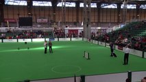 Obedience World Cup - Part 8 - Round 3 | Crufts 2016 (World Music 720p)