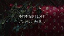 ENSEMBLE LUXUS - 