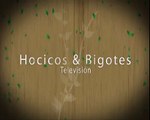 HOCICOS & BIGOTES Tv CABEZOTE
