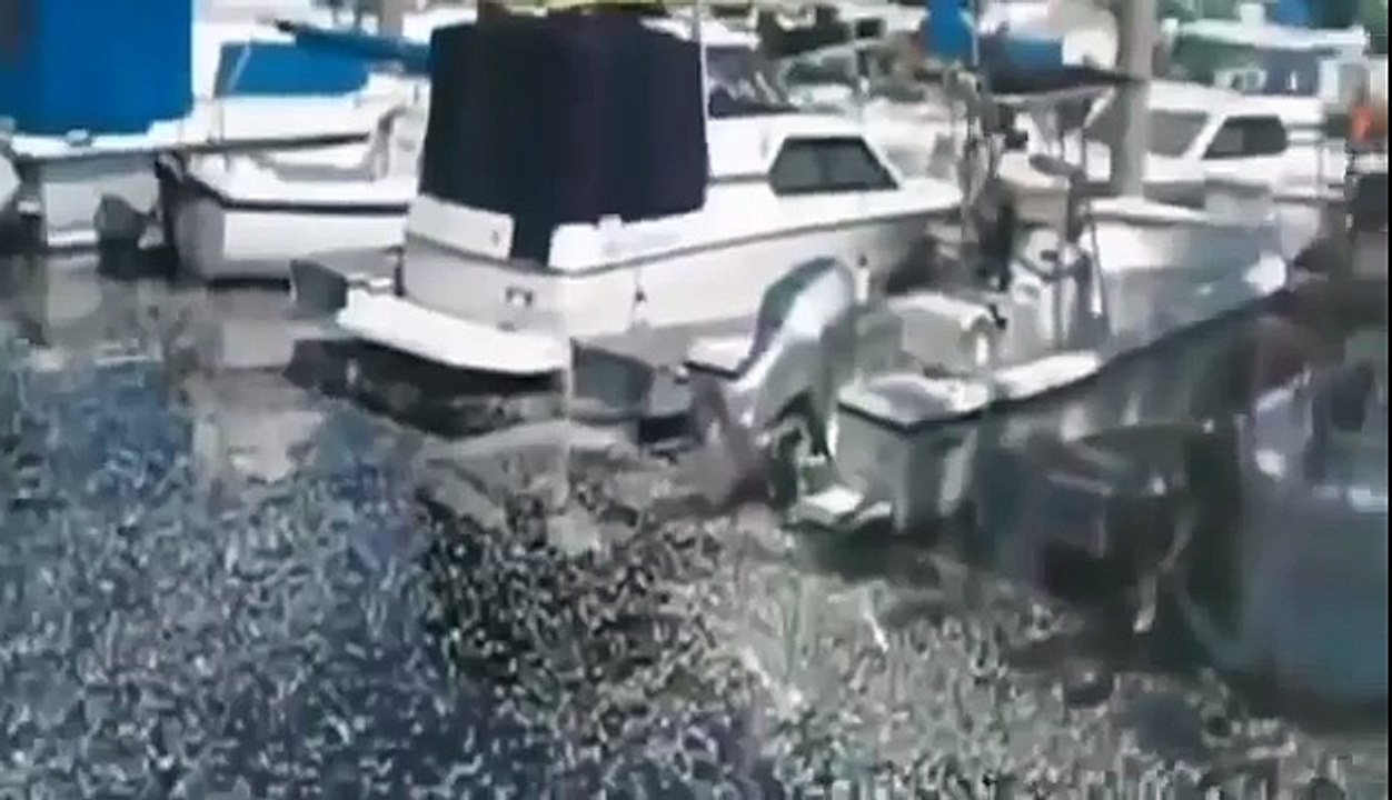 BIZARRE NATURE Strange Weird Events 68