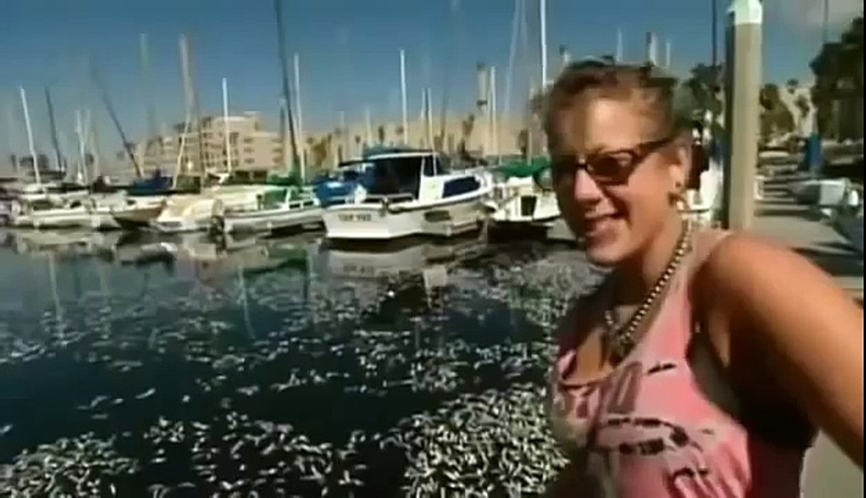 BIZARRE NATURE Strange Weird Events 72