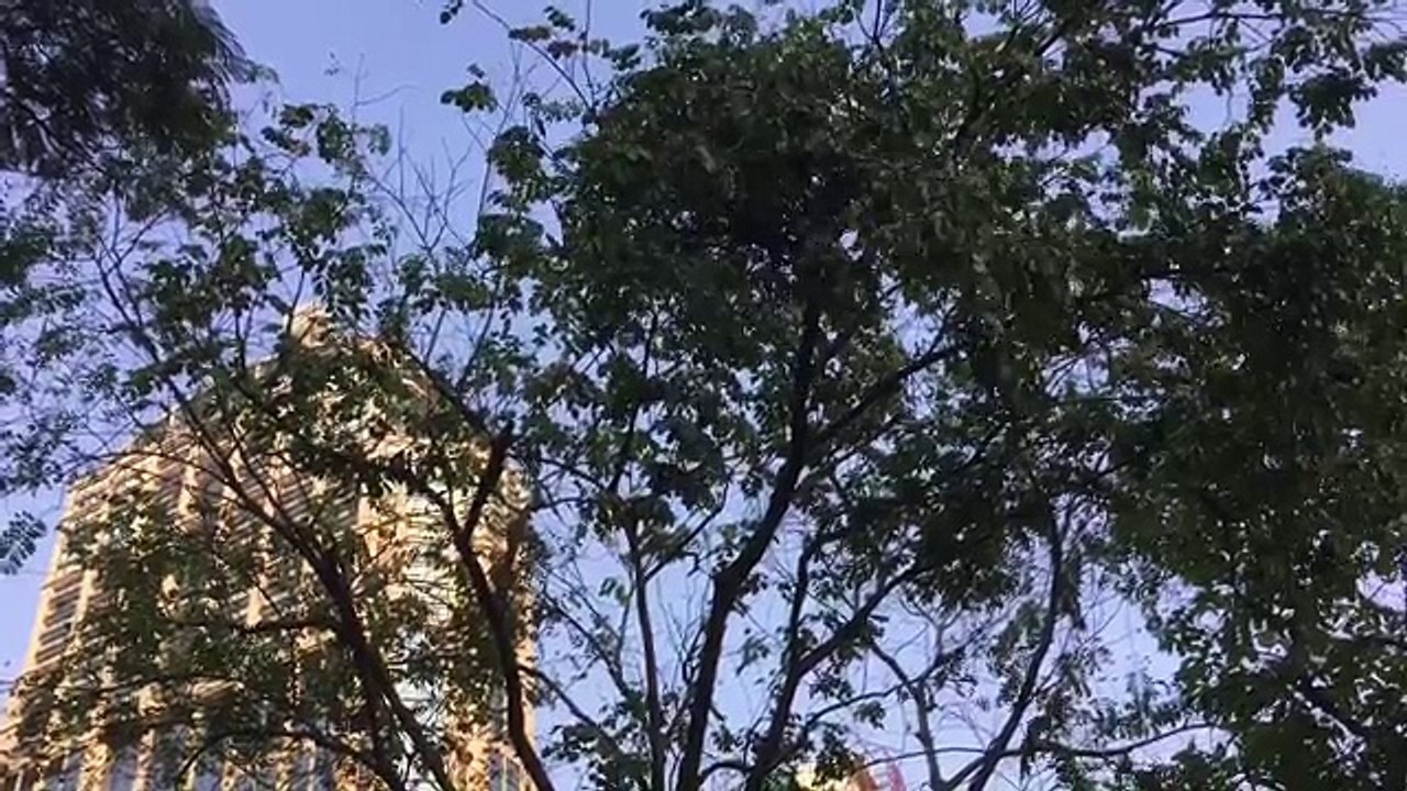 A Fragment Of Life (1024p FULL HD)