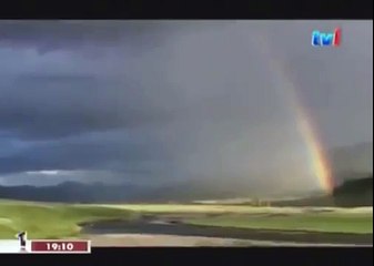 BLACK WOLF Hybrid vs Wolves of Yellowstone 76