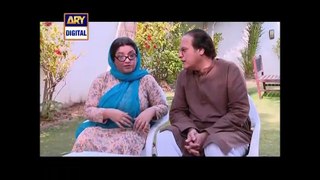 Bulbulay Episode 391 Full 20th March 2016