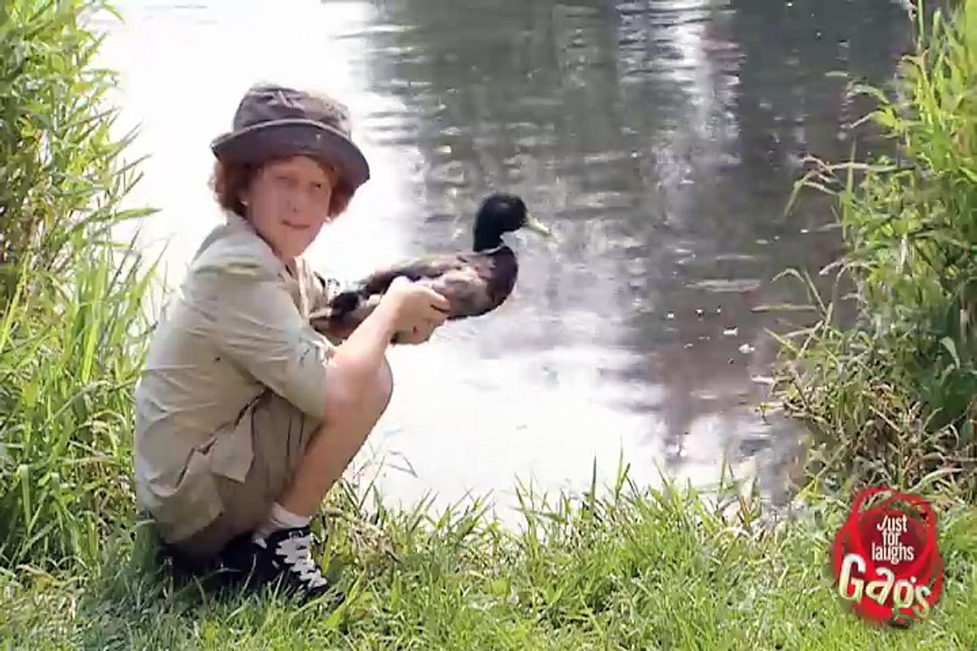 Daily Laughs_Whack A Duck