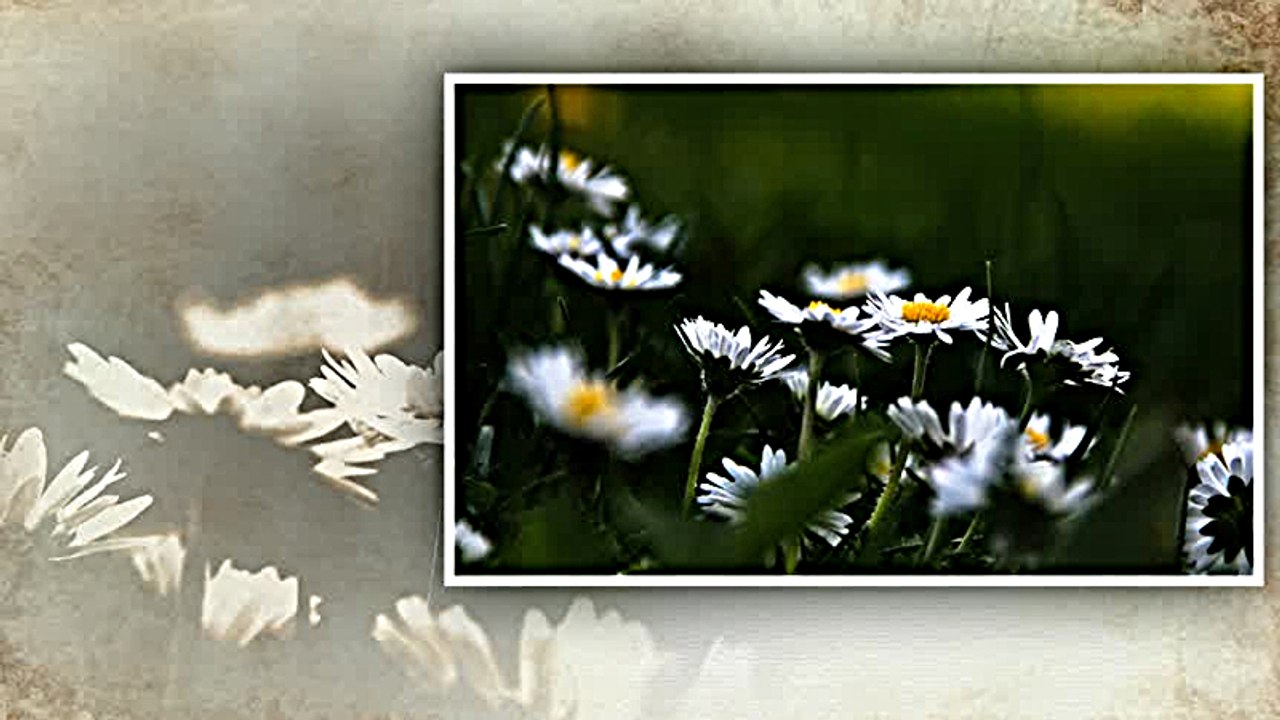 Zekija Cuturic - Ja uranih jutros rano