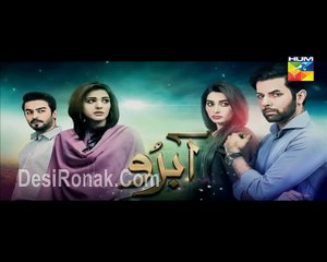 Abro Episode 14 Hum TV Drama 20 March 2016 P3