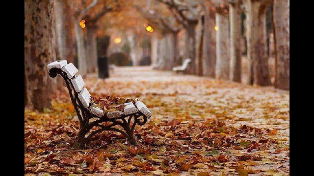 The Weight Of The World [ Singer - Tommy Shaw ] [ Album Name - Ambition - 1987 ] Song With Photo Clips