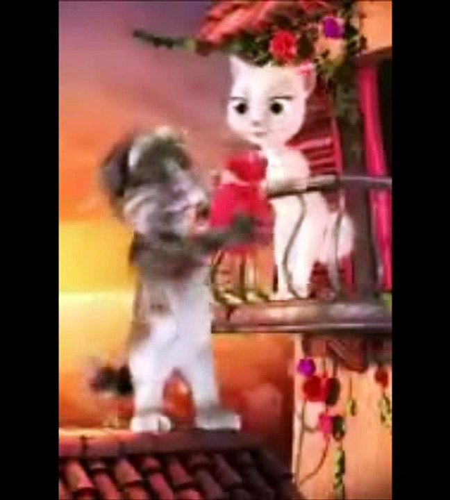 Tom Cat Funny Videos