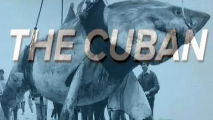 World's Biggest Shark Ever