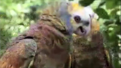 MY HOME - Problem Child @vincybadboy .. Promotional Use Only