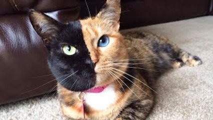 10 Images That You Wont Believe Werent Photoshopped