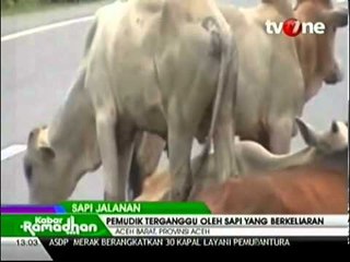 Jalur Mudik Terganggu Sapi yang Berkeliaran
