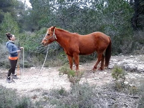 Challenge 12 - Steph et Lali : Jouer le yoyo de manière extrême